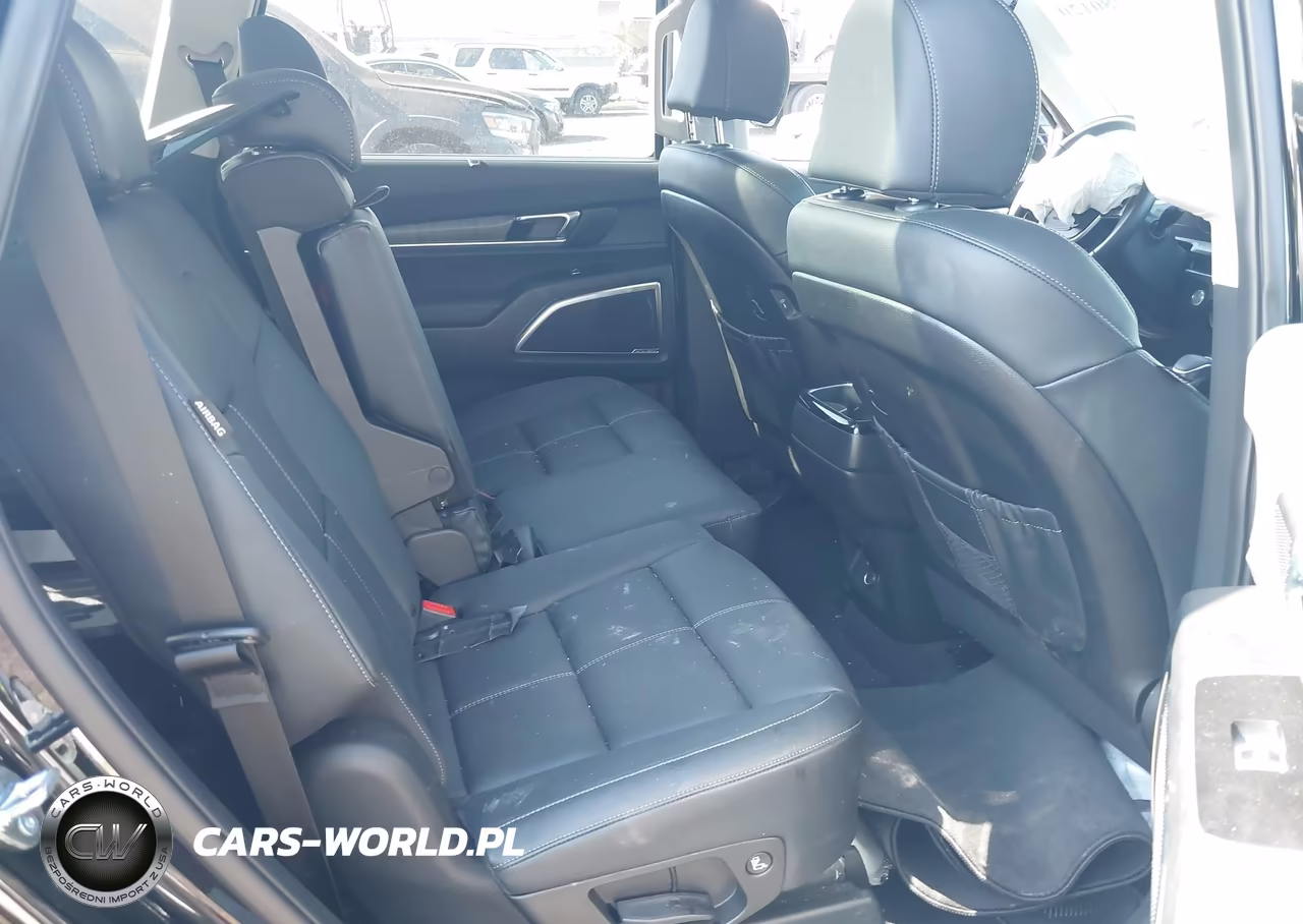 2025 Kia Telluride Sx VIN:5XYP54GC2SG692041 - 8