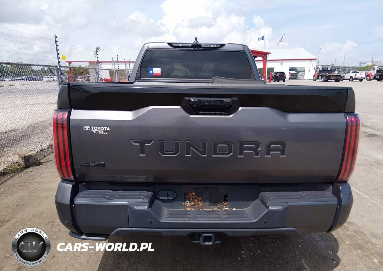 2023 Toyota Tundra Hybrid Platinum VIN:5TFNC5ECXPX003955 - 17