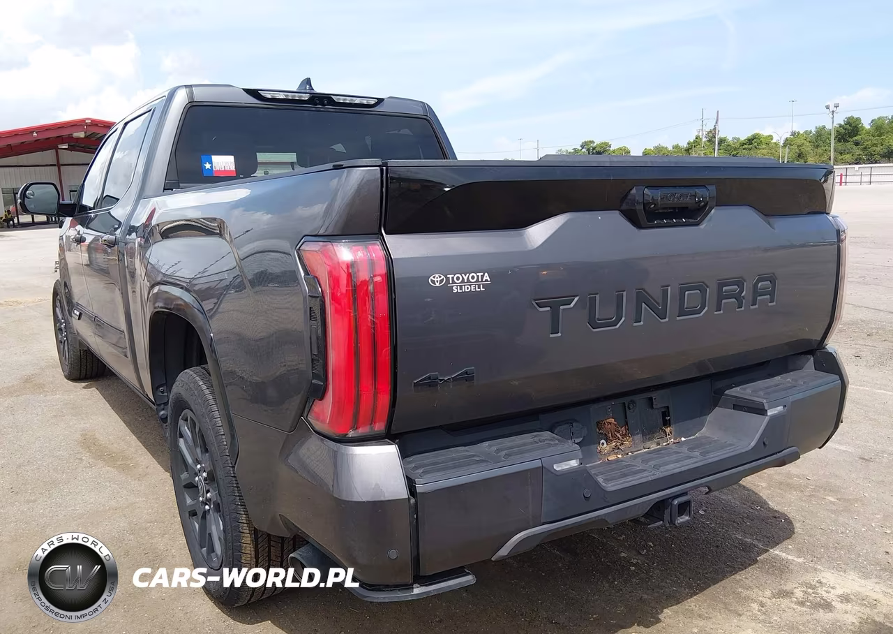 2023 Toyota Tundra Hybrid Platinum VIN:5TFNC5ECXPX003955 - 3