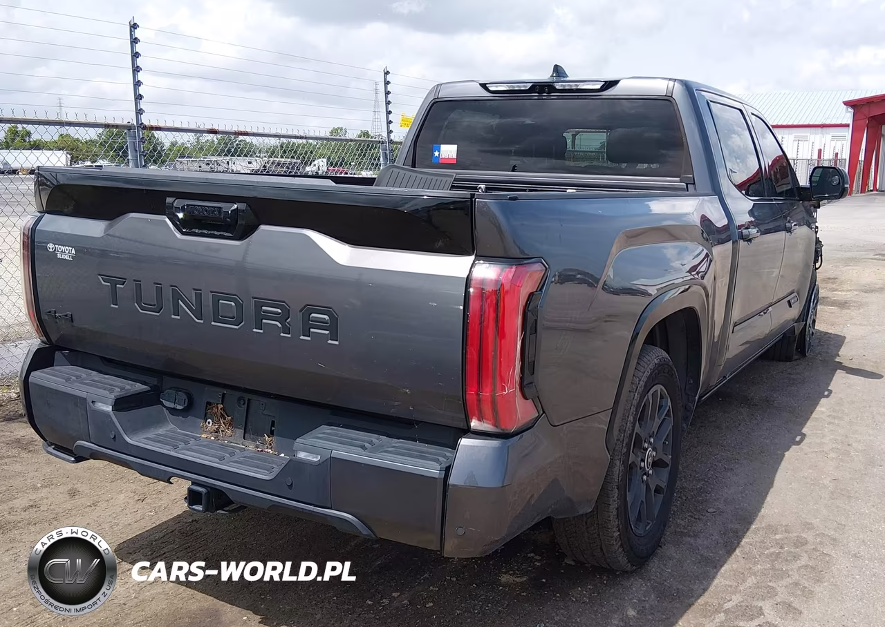 2023 Toyota Tundra Hybrid Platinum VIN:5TFNC5ECXPX003955 - 4