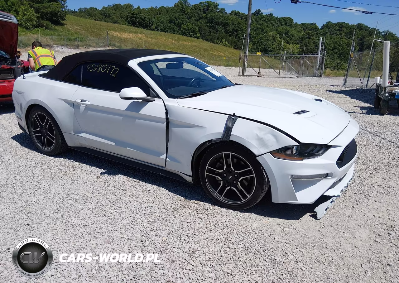 FORD MUSTANG – zdjęcie 1 z 17