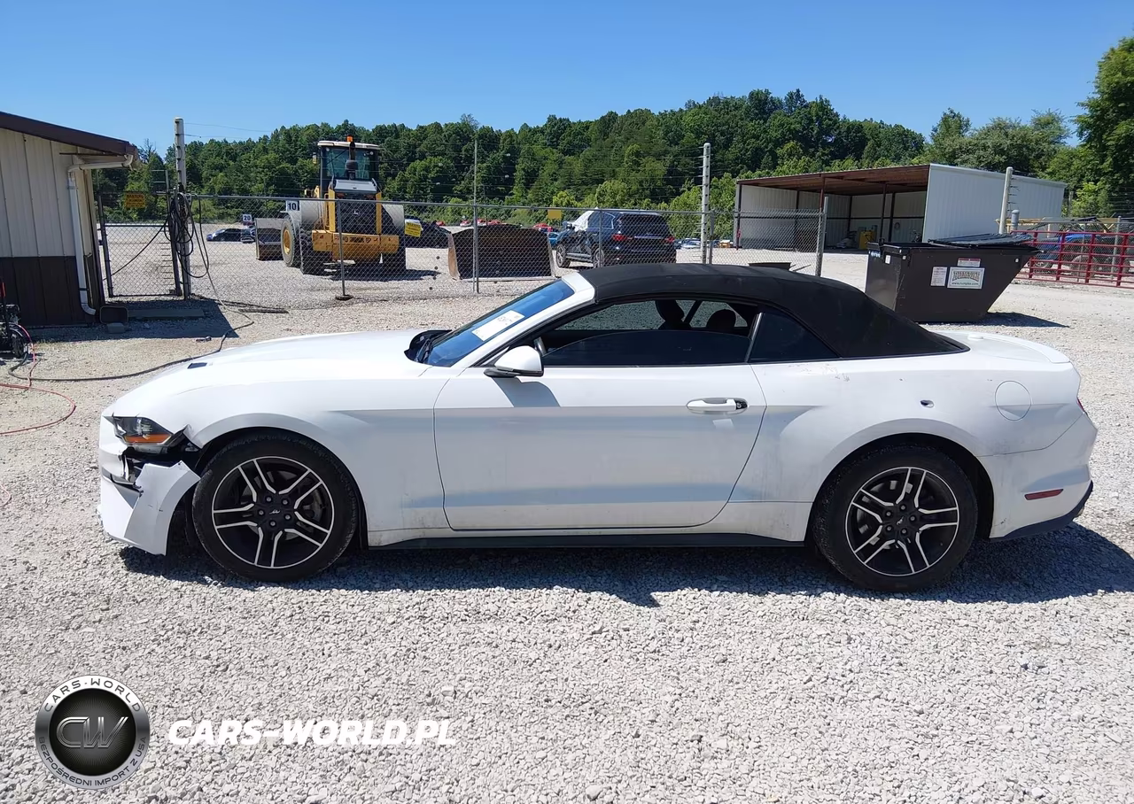 FORD MUSTANG VIN:1FATP8UH5J5139168 - 15