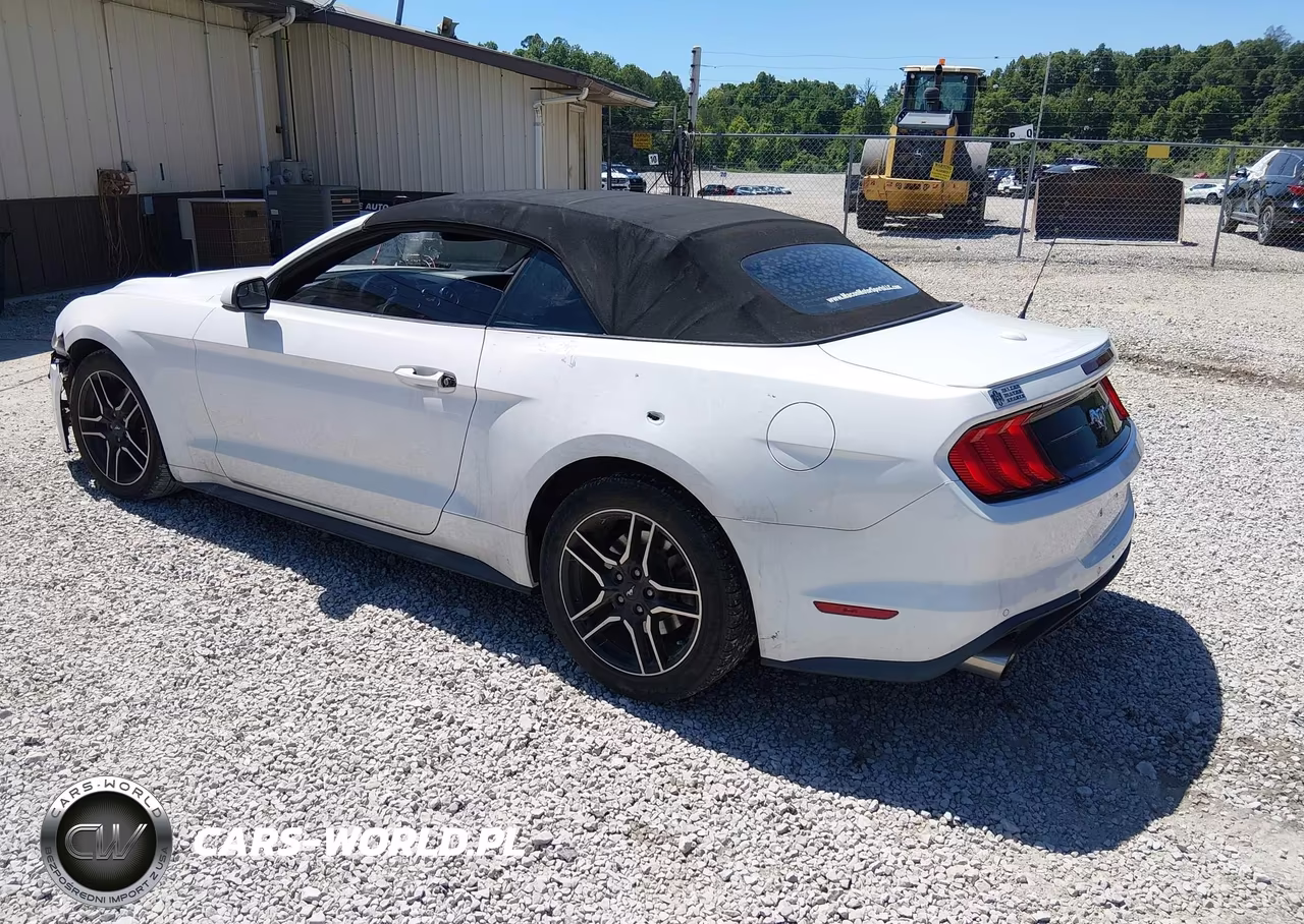 FORD MUSTANG VIN:1FATP8UH5J5139168 - 3