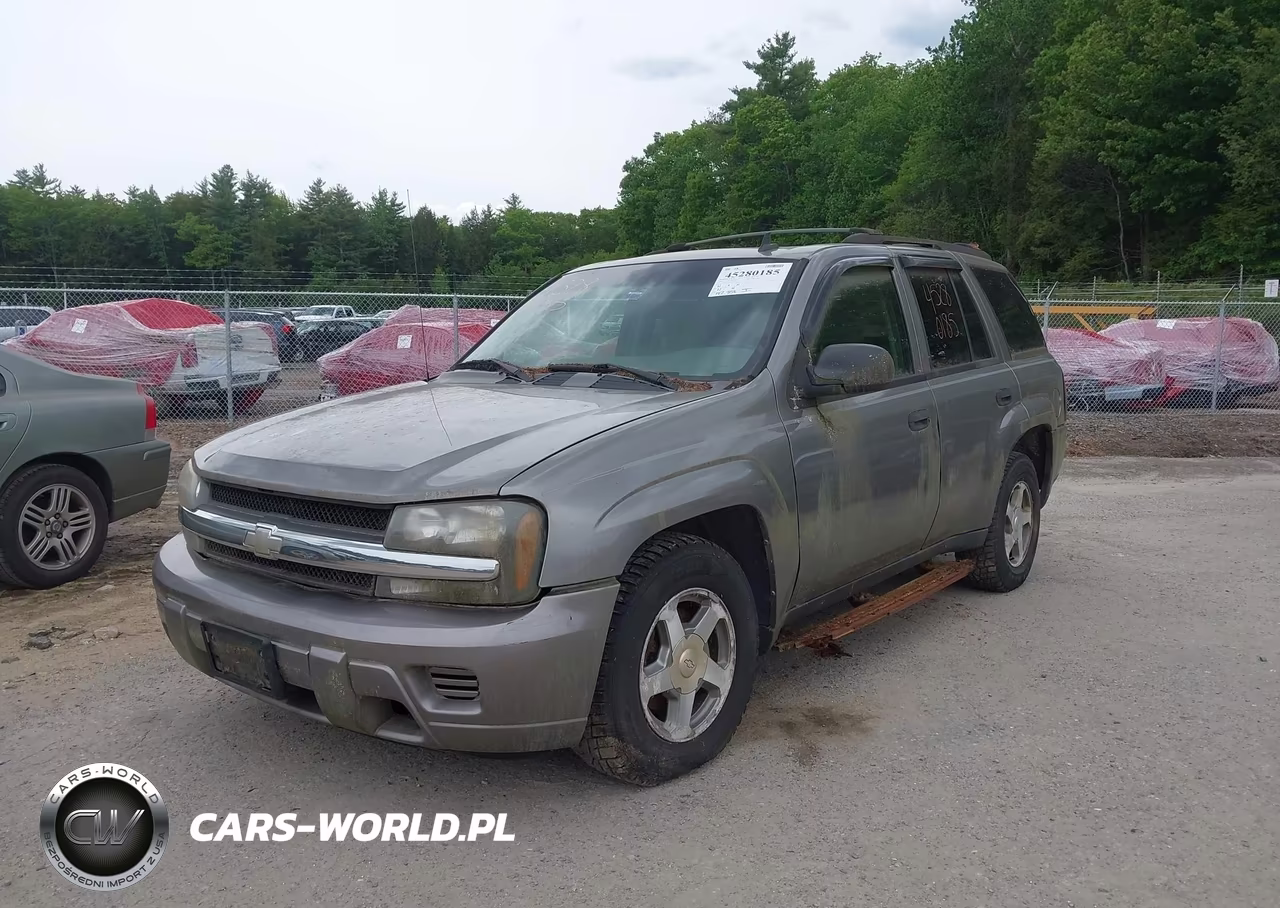 2006 Chevrolet Trailblazer Ls VIN:1GNDT13S162104450 - 2