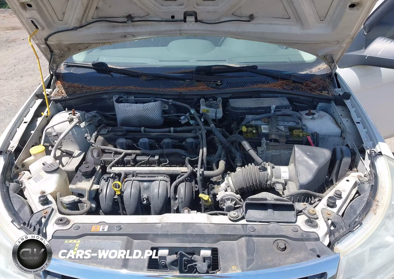 2010 Ford Focus S VIN:1FAHP3EN8AW135915 - 10