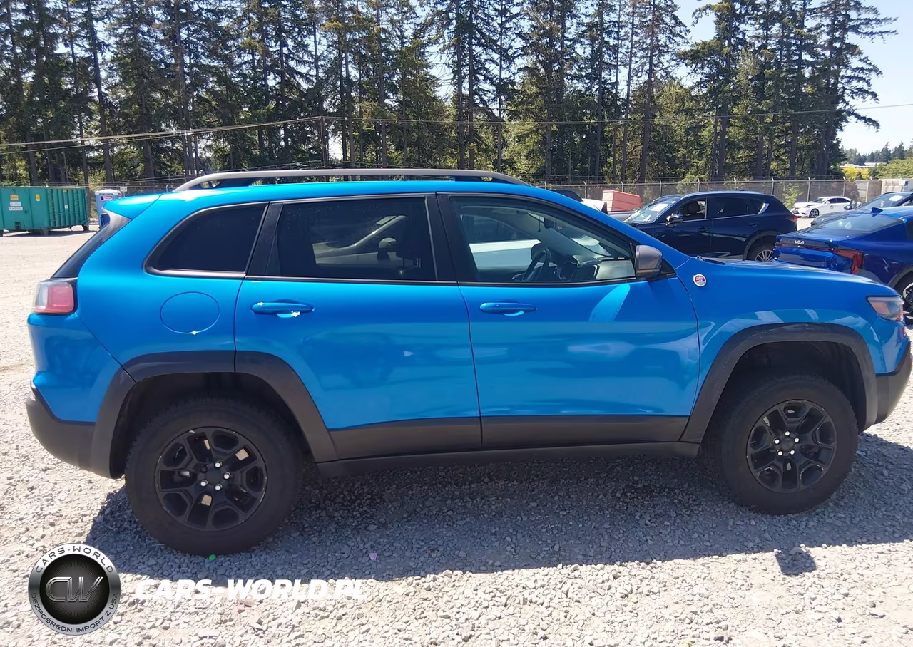2019 Jeep Cherokee Trailhawk Elite 4X4 VIN:1C4PJMBN0KD153341 - 13