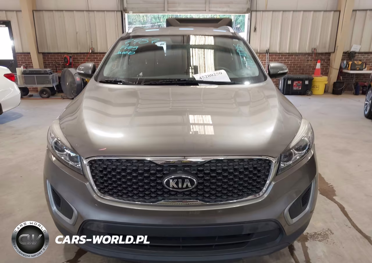 2018 Kia Sorento 2.4L Lx VIN:5XYPG4A32JG408831 - 12
