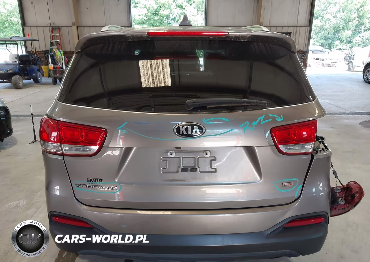 2018 Kia Sorento 2.4L Lx VIN:5XYPG4A32JG408831 - 16