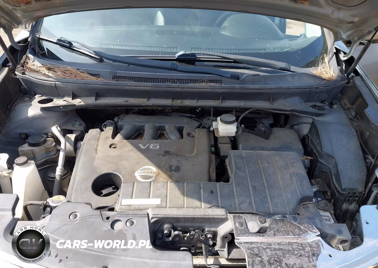 2009 Nissan Murano Sl VIN:JN8AZ18U99W025162 - 10
