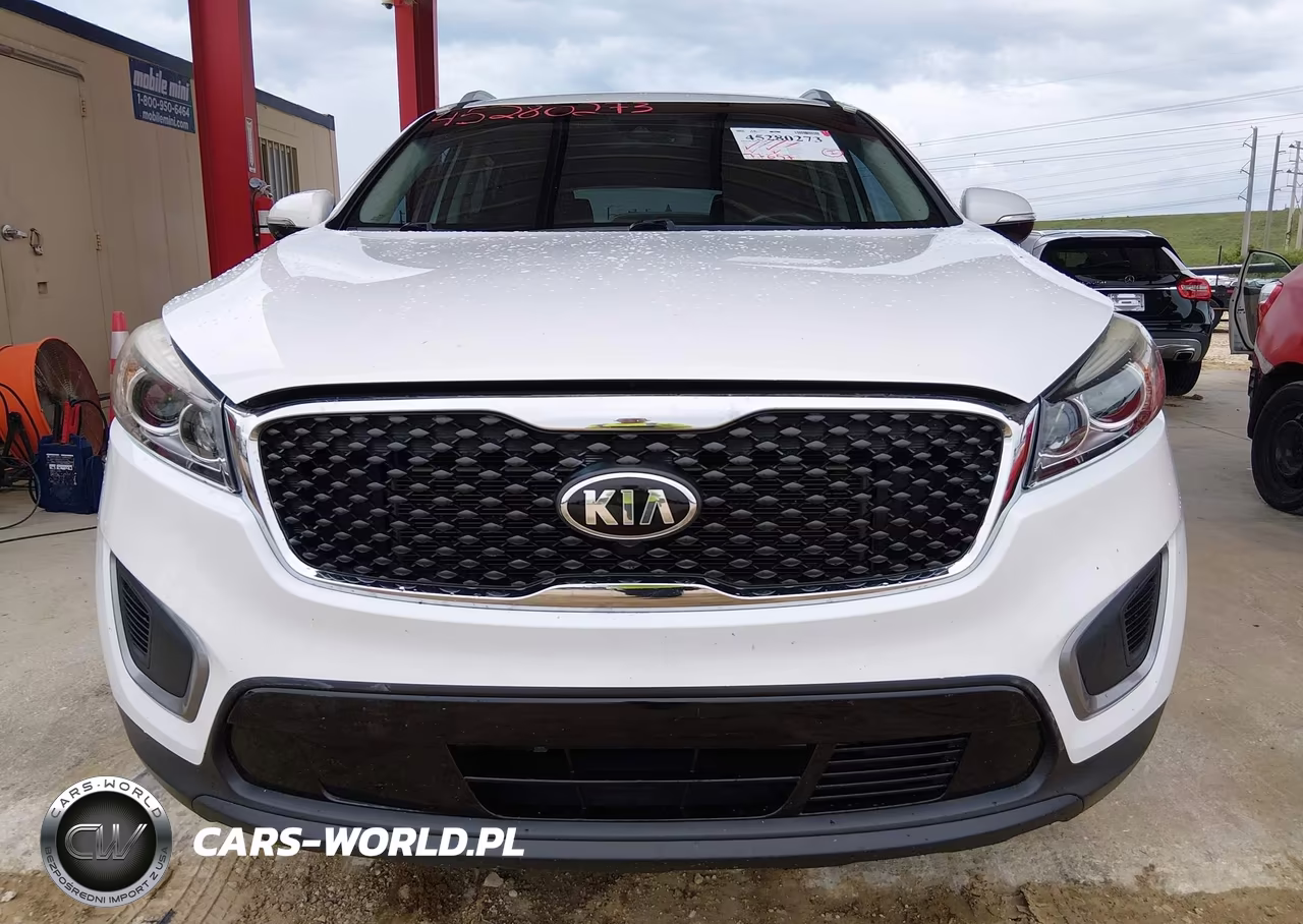 2017 Kia Sorento 2.4L Lx VIN:5XYPG4A38HG239201 - 12
