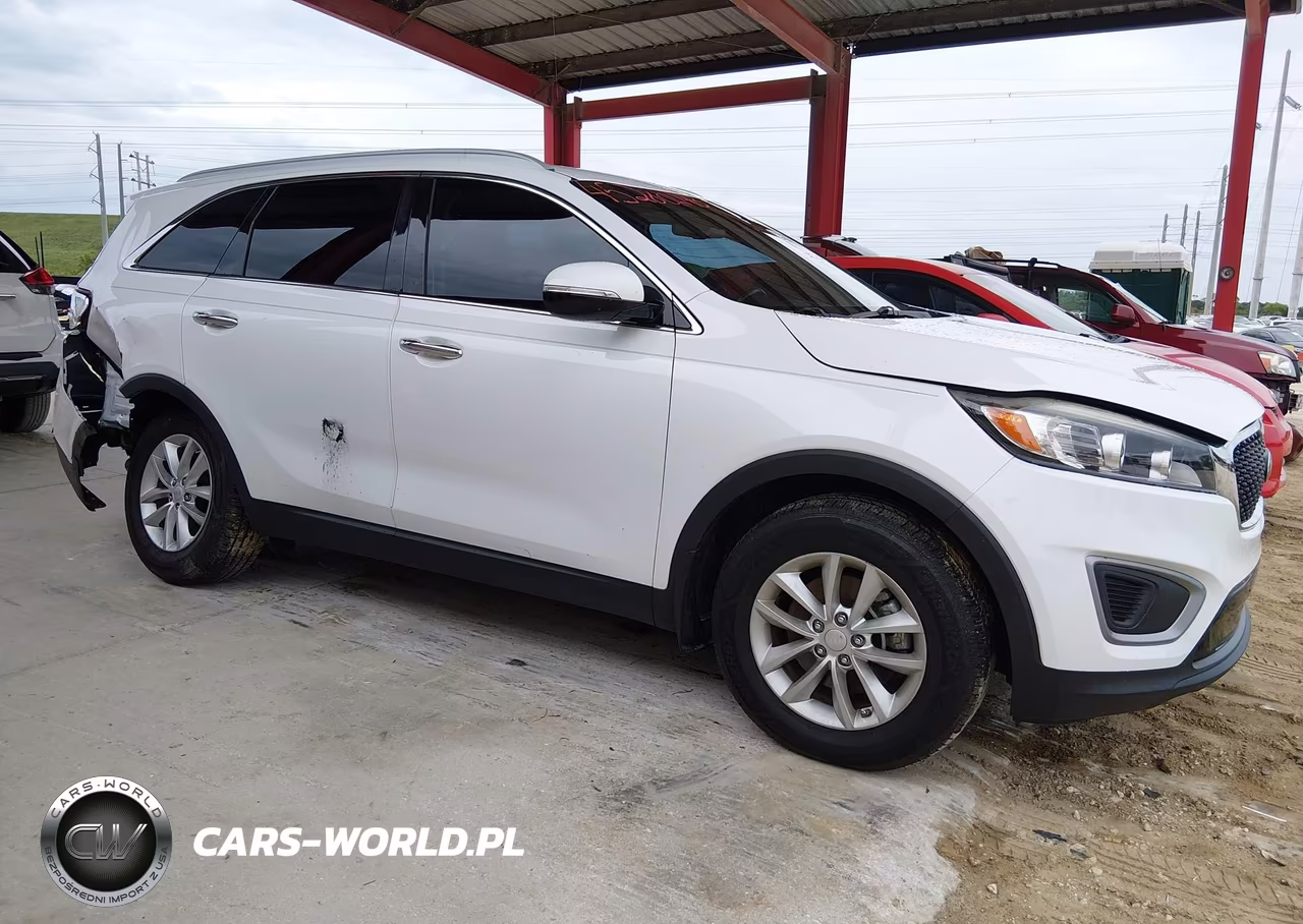 2017 Kia Sorento 2.4L Lx VIN:5XYPG4A38HG239201 - 13