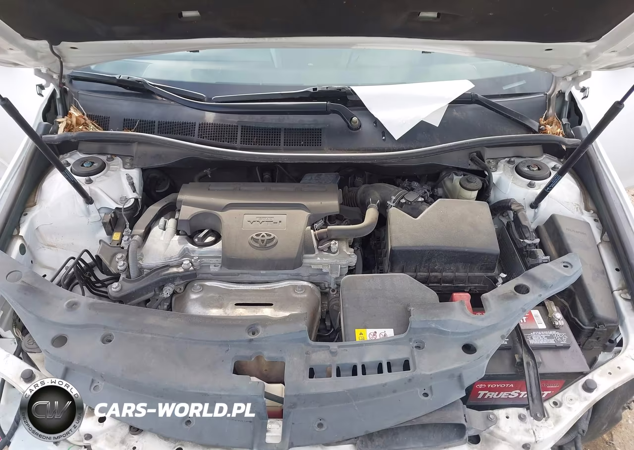2017 Toyota Camry Se VIN:4T1BF1FK1HU812428 - 10