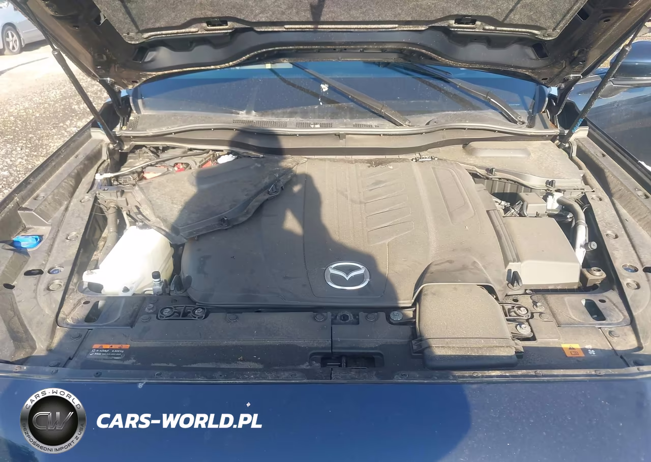 2024 Mazda Cx-90 3.3 Turbo Premium Plus VIN:JM3KKEHD4R1128540 - 10