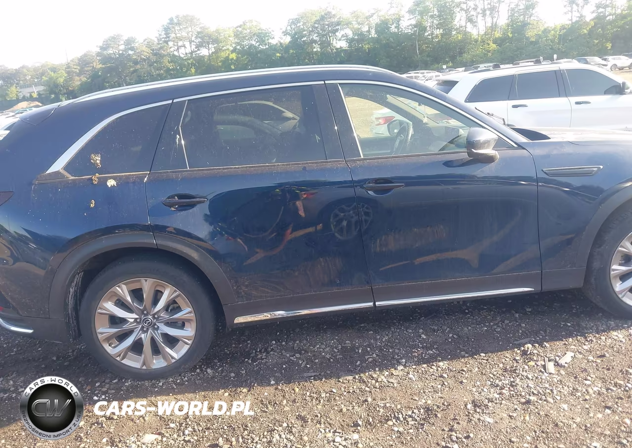 2024 Mazda Cx-90 3.3 Turbo Premium Plus VIN:JM3KKEHD4R1128540 - 13