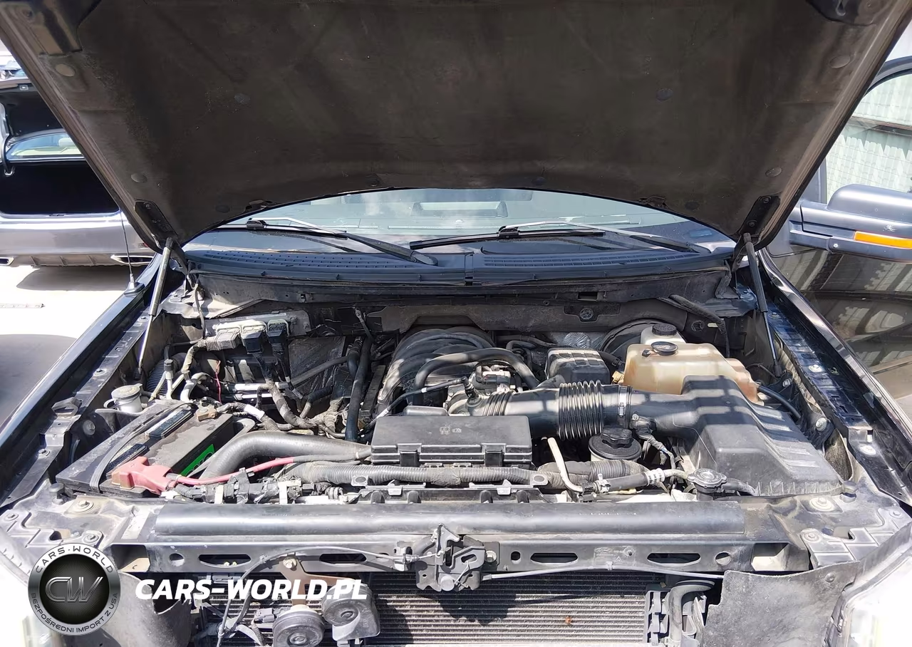 2010 Ford F-150 Fx2 Sport-Xl-Xlt VIN:1FTEW1C84AKE54107 - 10