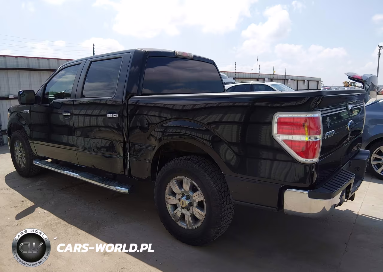 2010 Ford F-150 Fx2 Sport-Xl-Xlt VIN:1FTEW1C84AKE54107 - 15