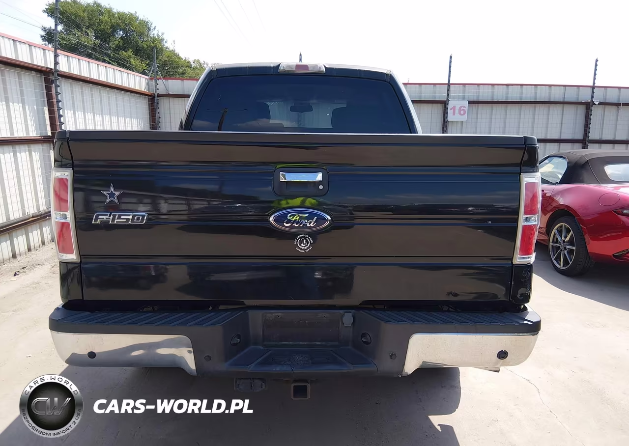 2010 Ford F-150 Fx2 Sport-Xl-Xlt VIN:1FTEW1C84AKE54107 - 17