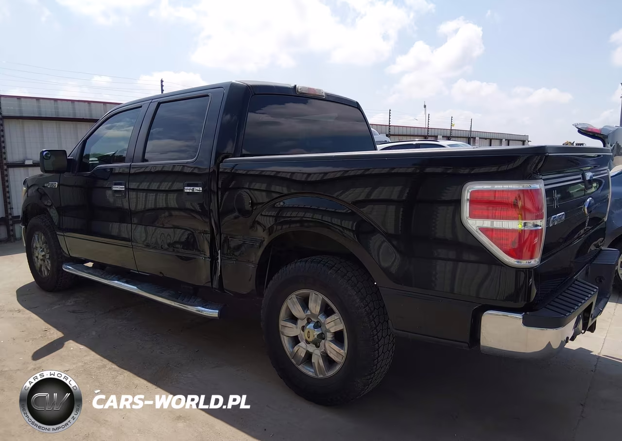 2010 Ford F-150 Fx2 Sport-Xl-Xlt VIN:1FTEW1C84AKE54107 - 18