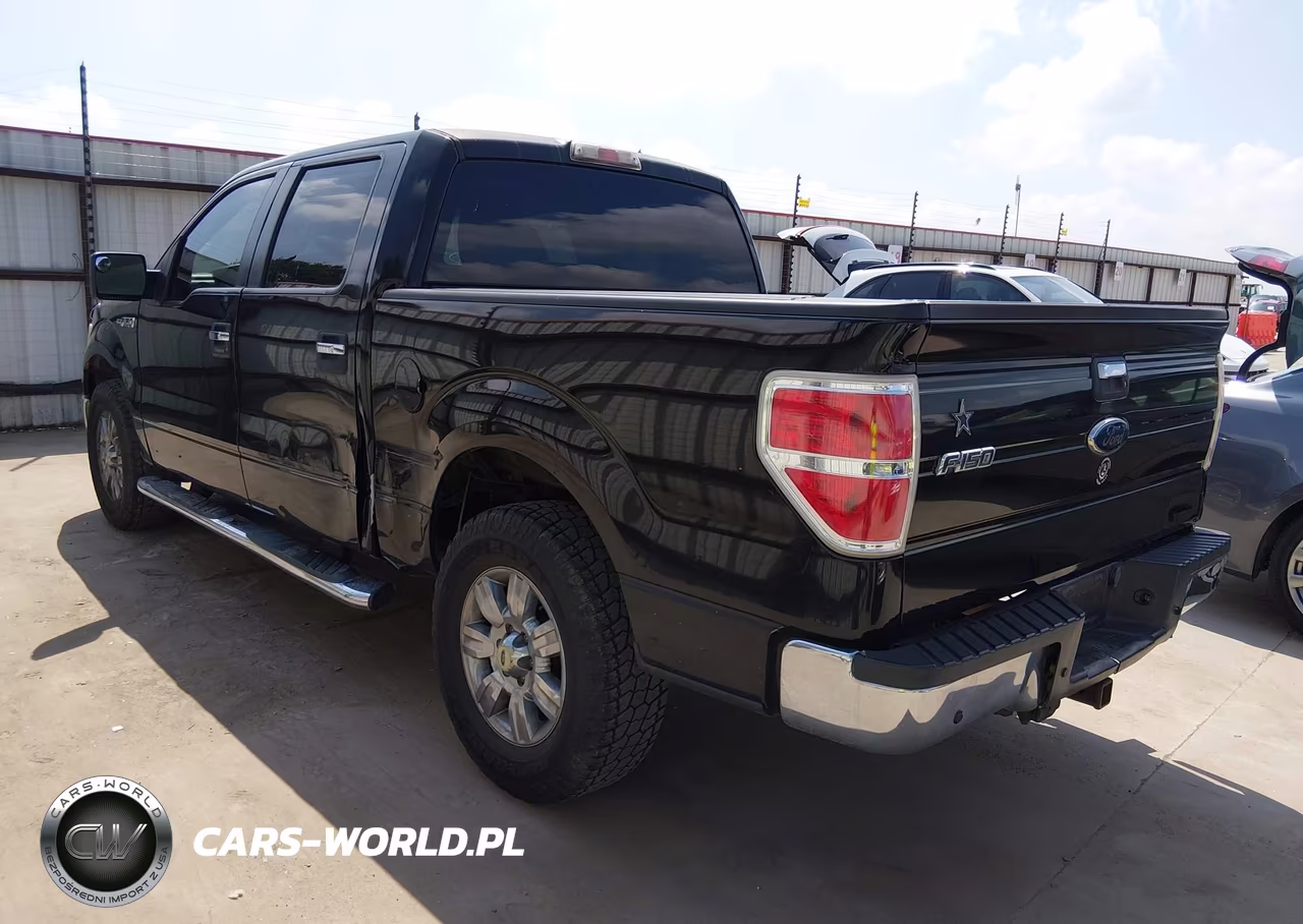 2010 Ford F-150 Fx2 Sport-Xl-Xlt VIN:1FTEW1C84AKE54107 - 3