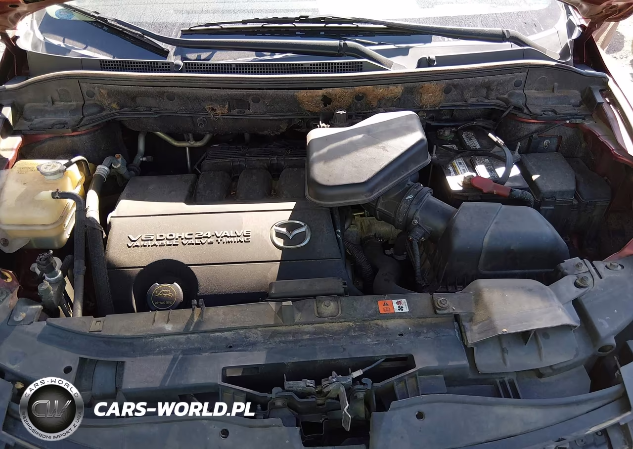 2009 Mazda Cx-9 Touring VIN:JM3TB38V490168365 - 10