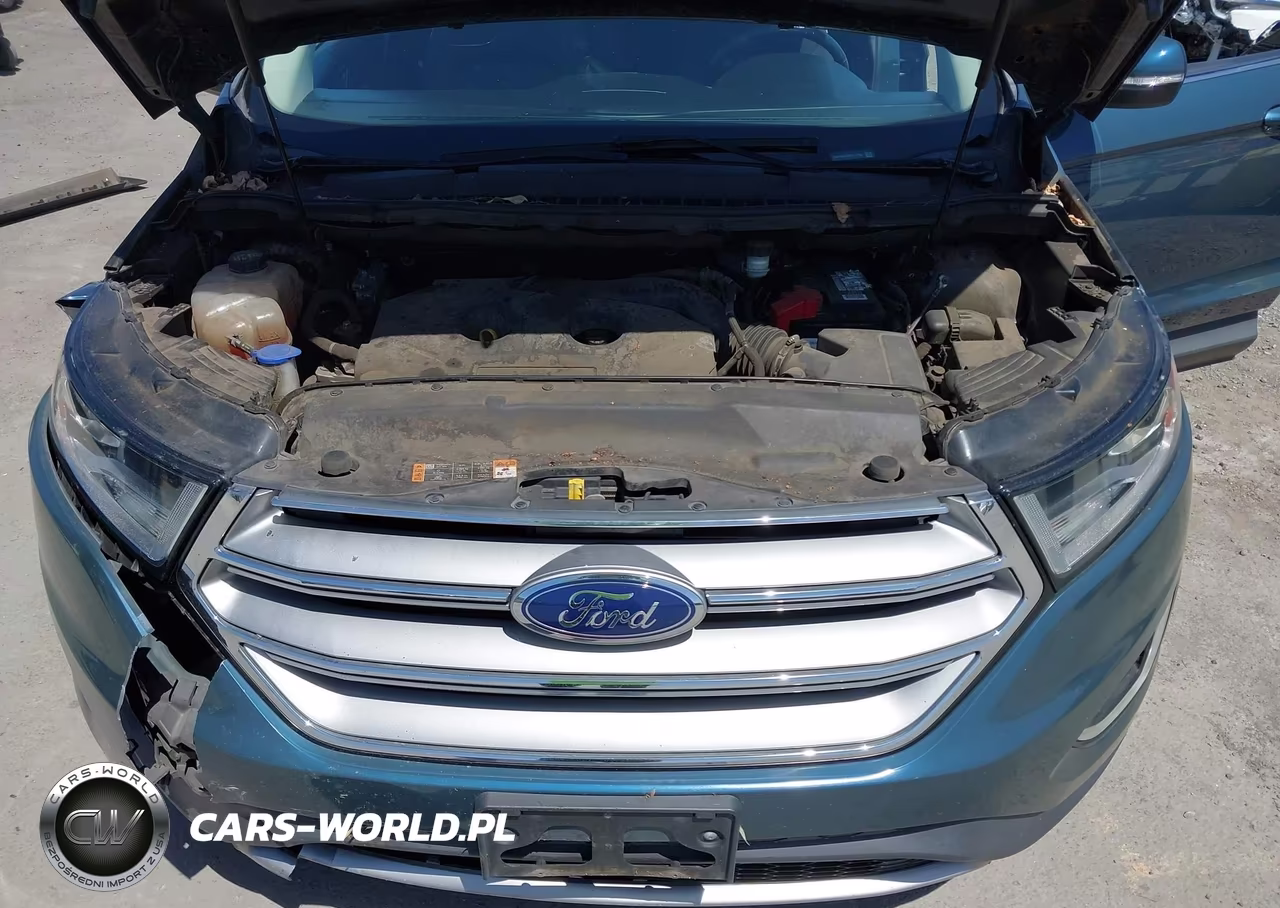 2016 Ford Edge Sel VIN:2FMPK3J93GBC11818 - 10