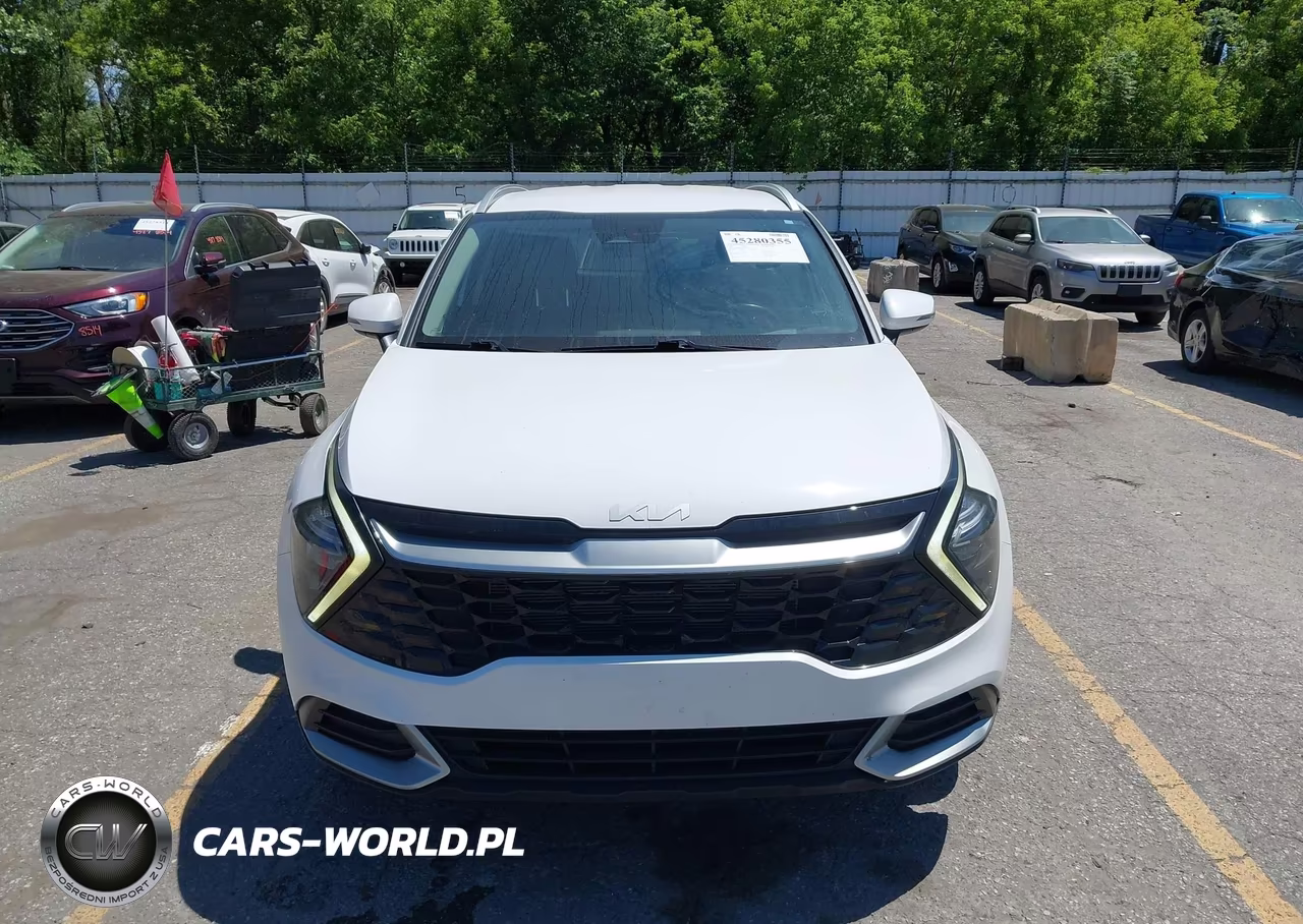 2023 Kia Sportage Ex VIN:5XYK3CAF1PG009170 - 12