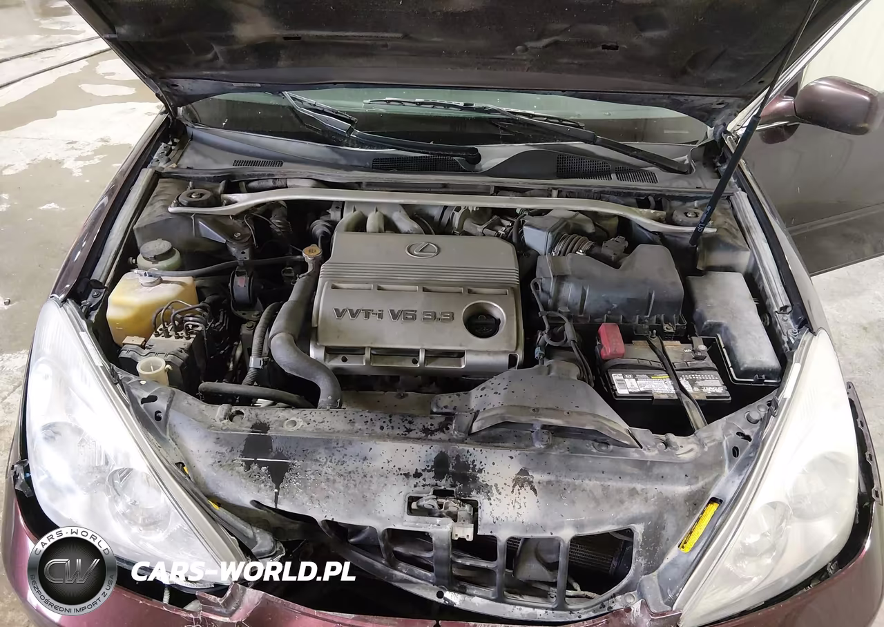 2004 Lexus Es 330 VIN:JTHBA30G345019654 - 10