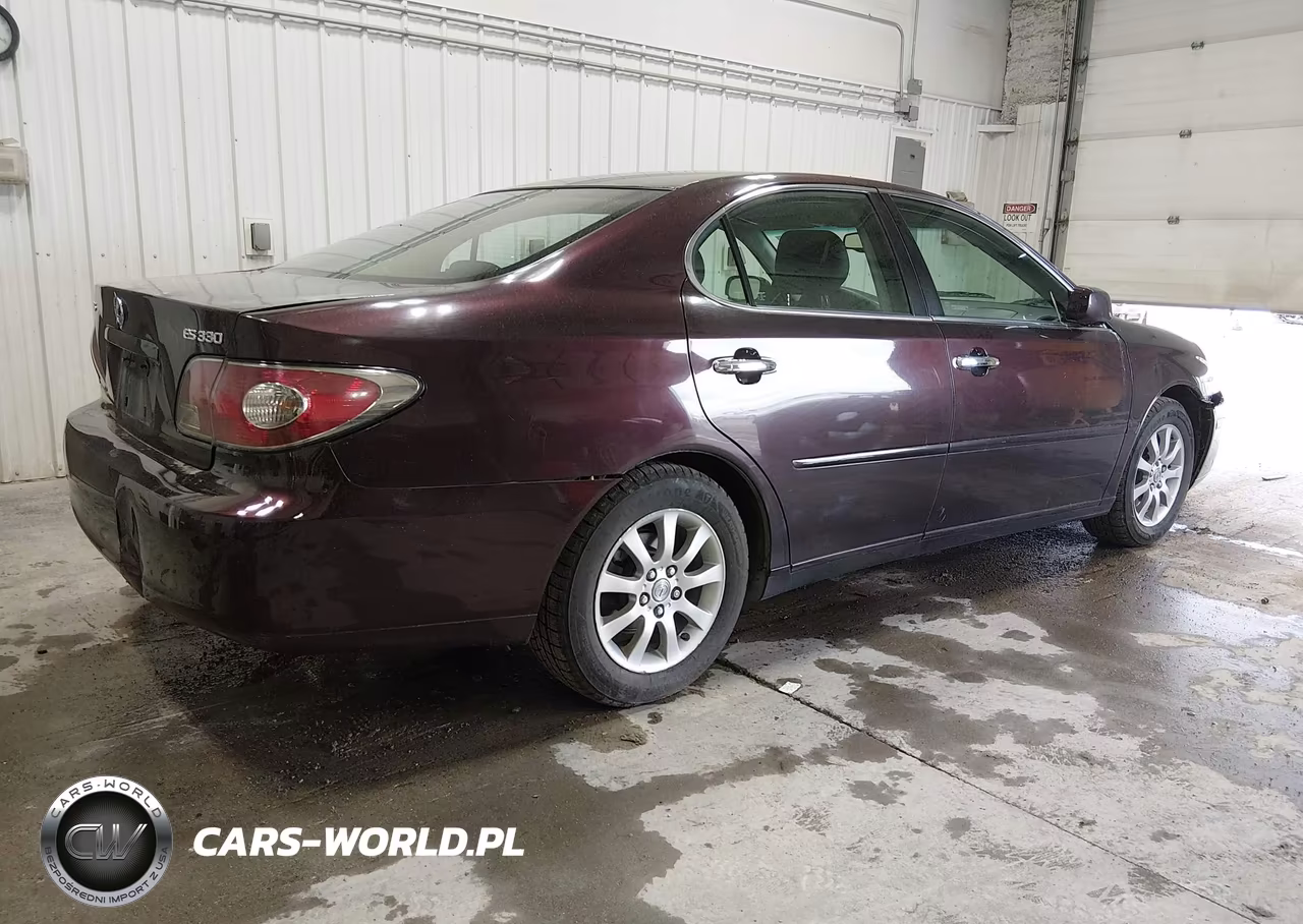 2004 Lexus Es 330 VIN:JTHBA30G345019654 - 4