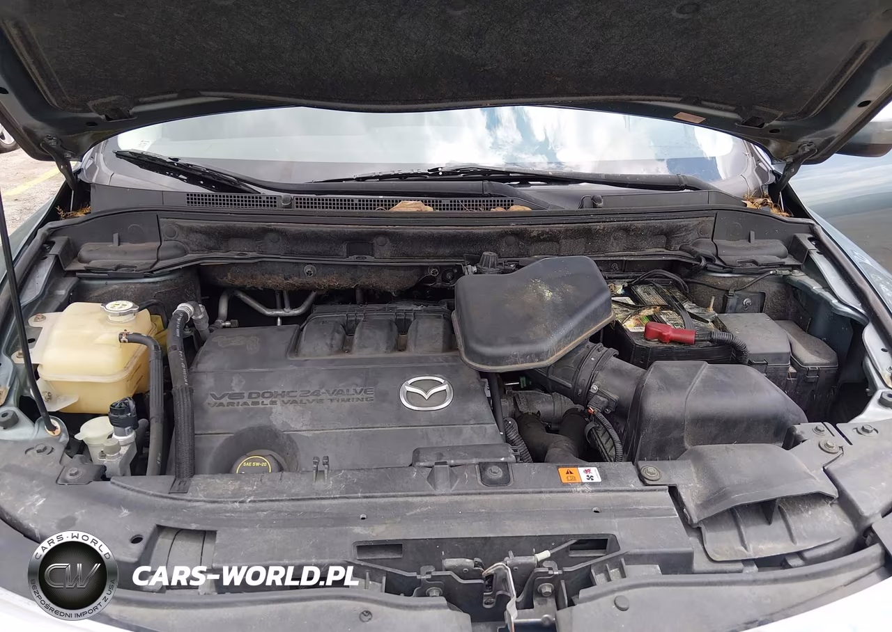2010 Mazda Cx-9 Sport VIN:JM3TB2MA1A0232203 - 10