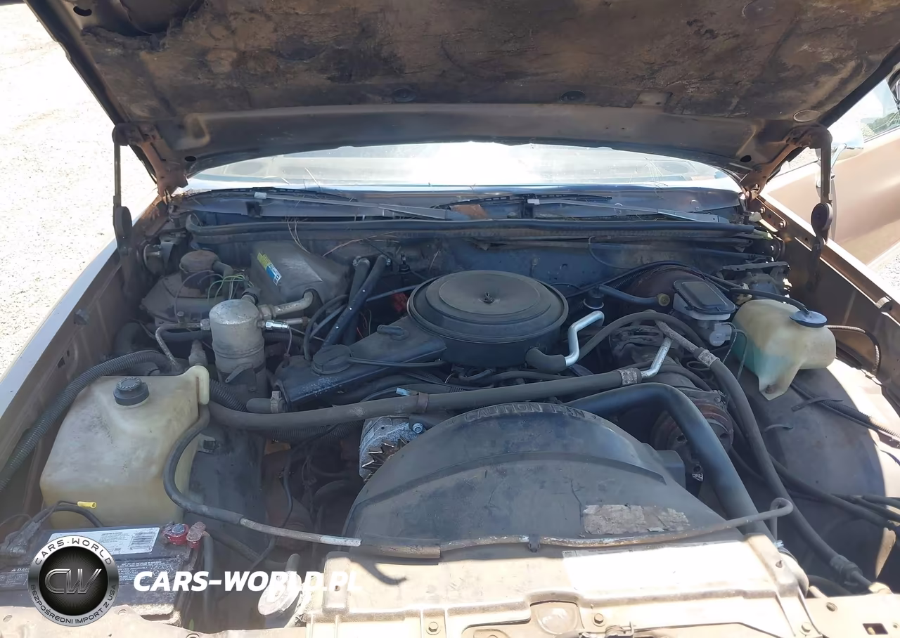 1981 Chevrolet El Camino VIN:1GCCW80KXBD485383 - 10