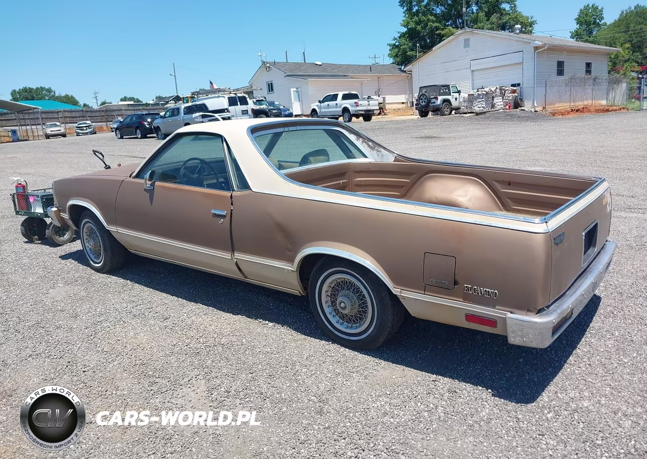 1981 Chevrolet El Camino VIN:1GCCW80KXBD485383 - 3
