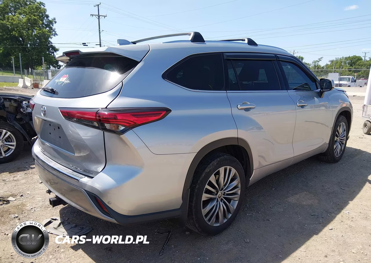 2020 Toyota Highlander Platinum VIN:5TDFZRBH5LS000133 - 4
