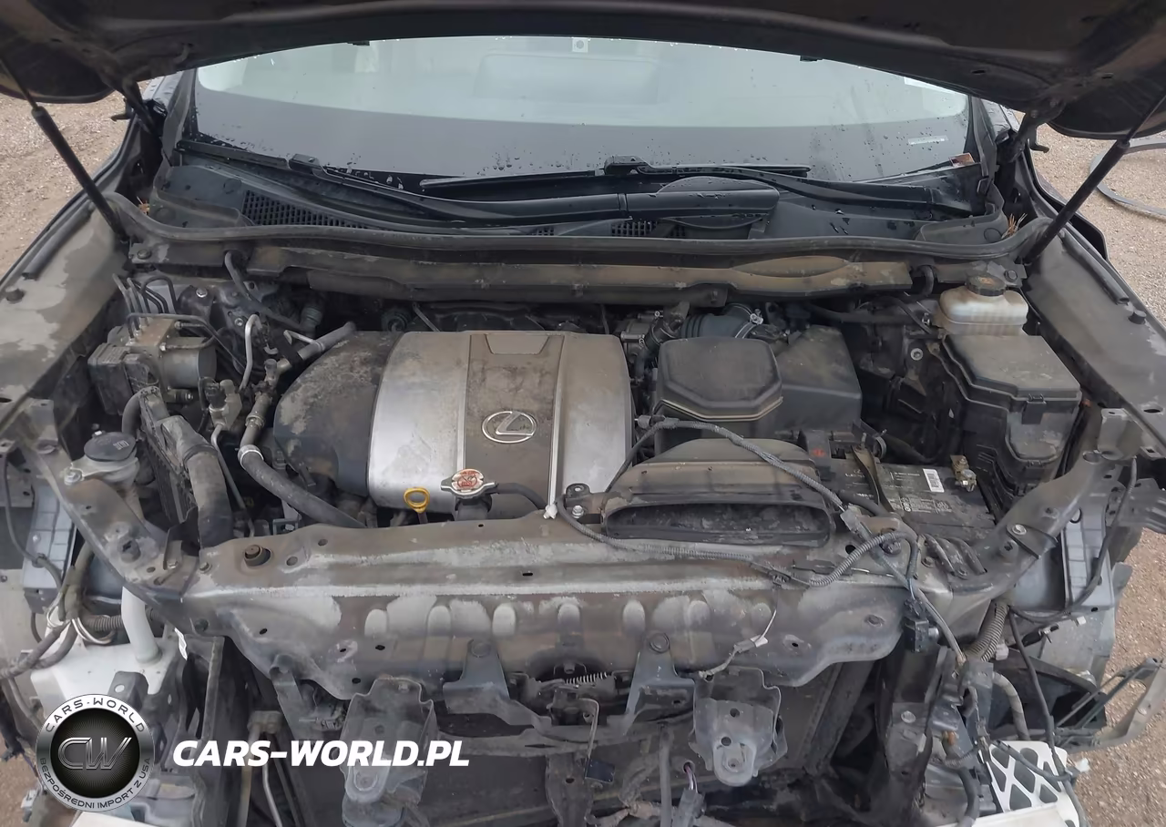 2019 Lexus Rx 350L Premium VIN:JTJGZKCA4K2012791 - 10