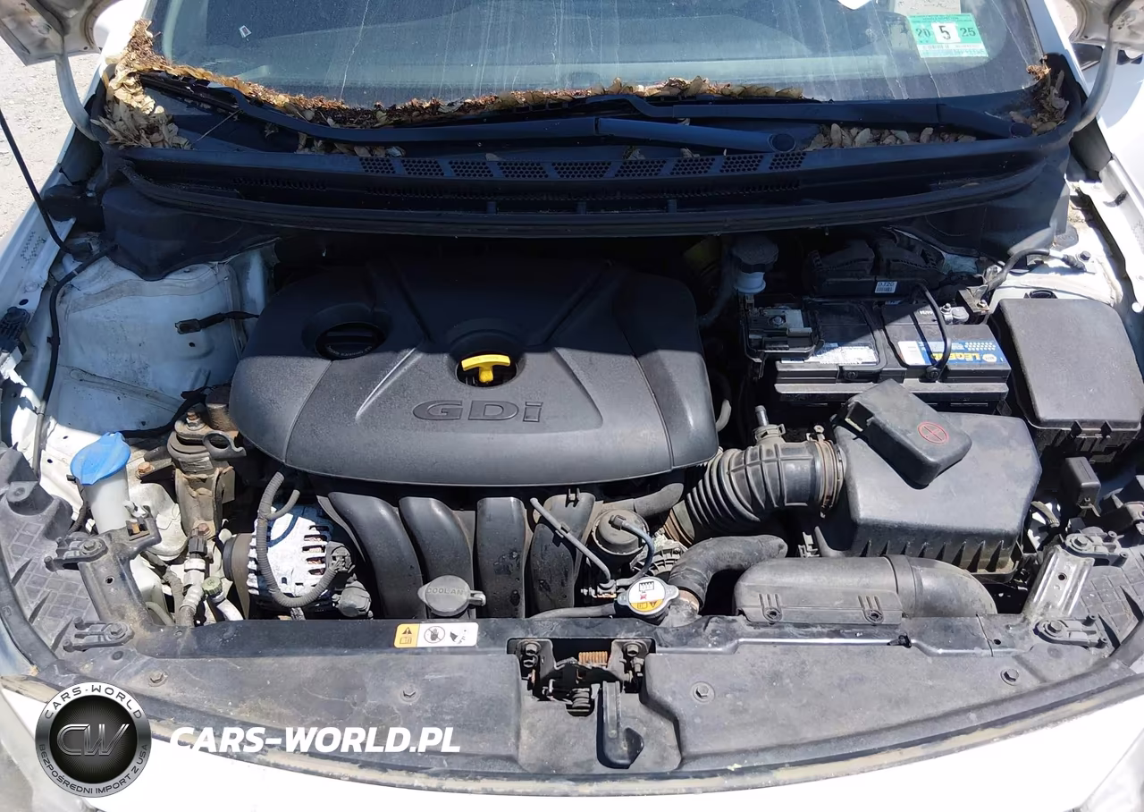 2014 Kia Forte Ex VIN:KNAFX4A81E5114193 - 10