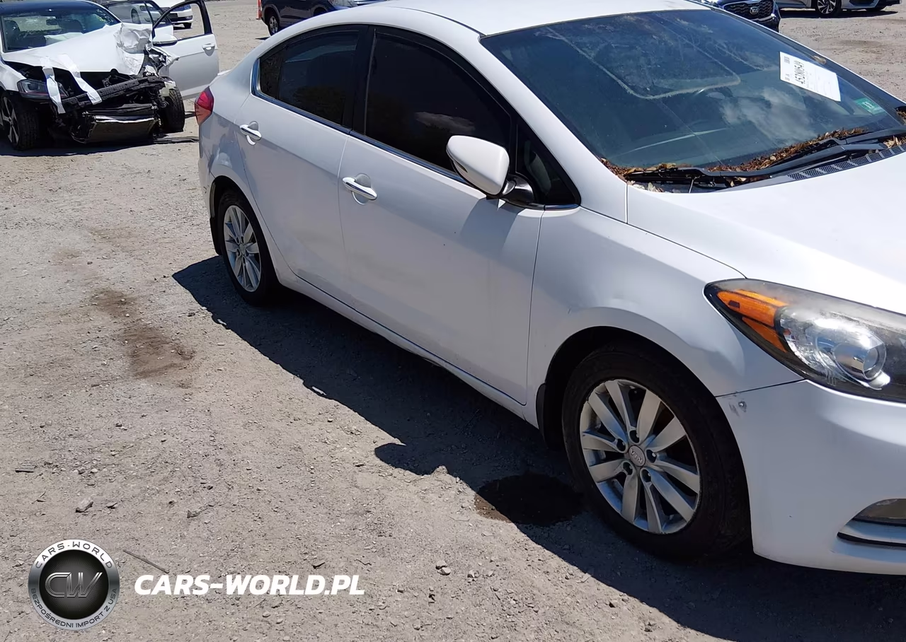 2014 Kia Forte Ex VIN:KNAFX4A81E5114193 - 13