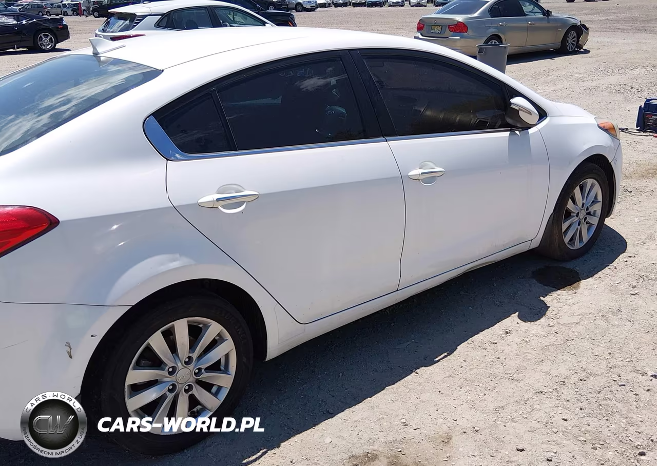 2014 Kia Forte Ex VIN:KNAFX4A81E5114193 - 14