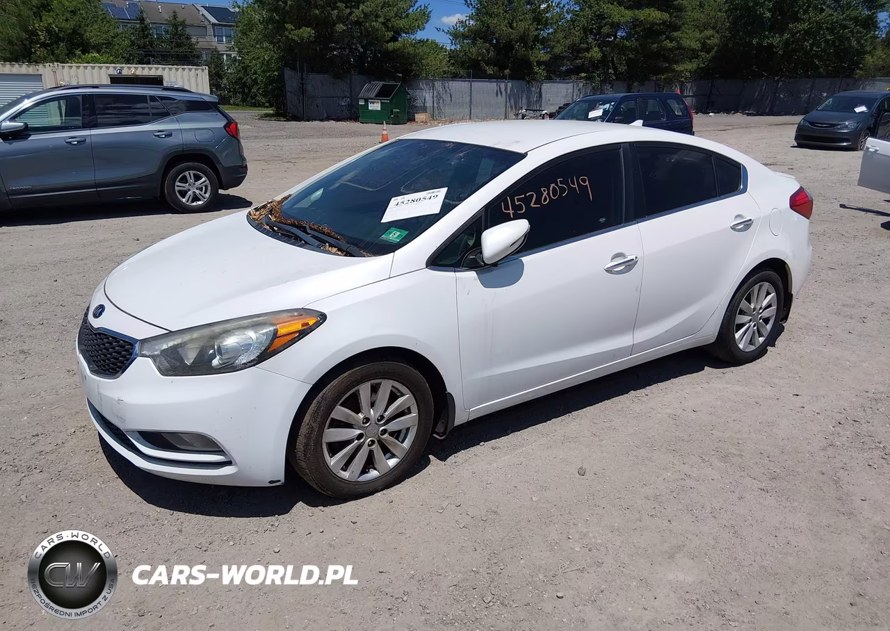 2014 Kia Forte Ex VIN:KNAFX4A81E5114193 - 2