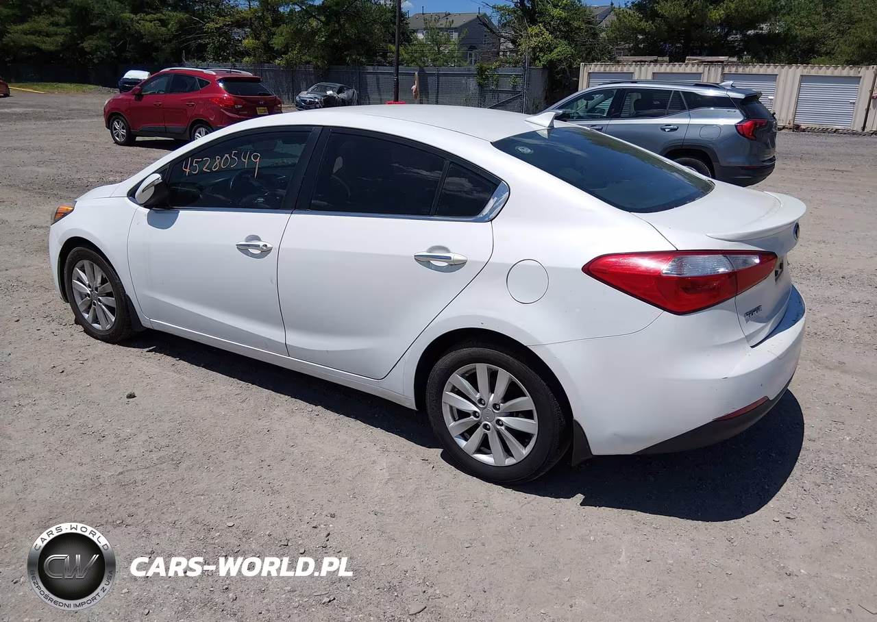 2014 Kia Forte Ex VIN:KNAFX4A81E5114193 - 3