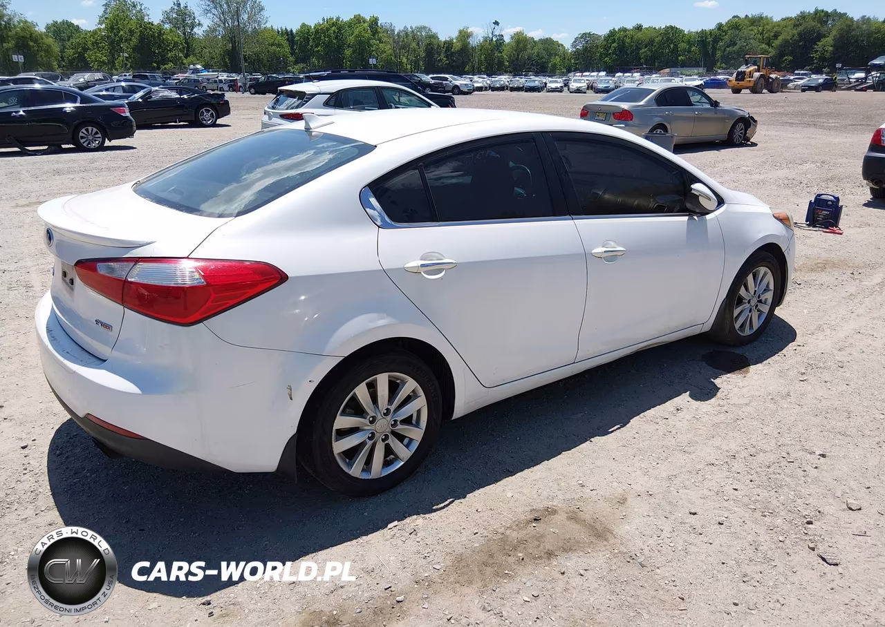 2014 Kia Forte Ex VIN:KNAFX4A81E5114193 - 4