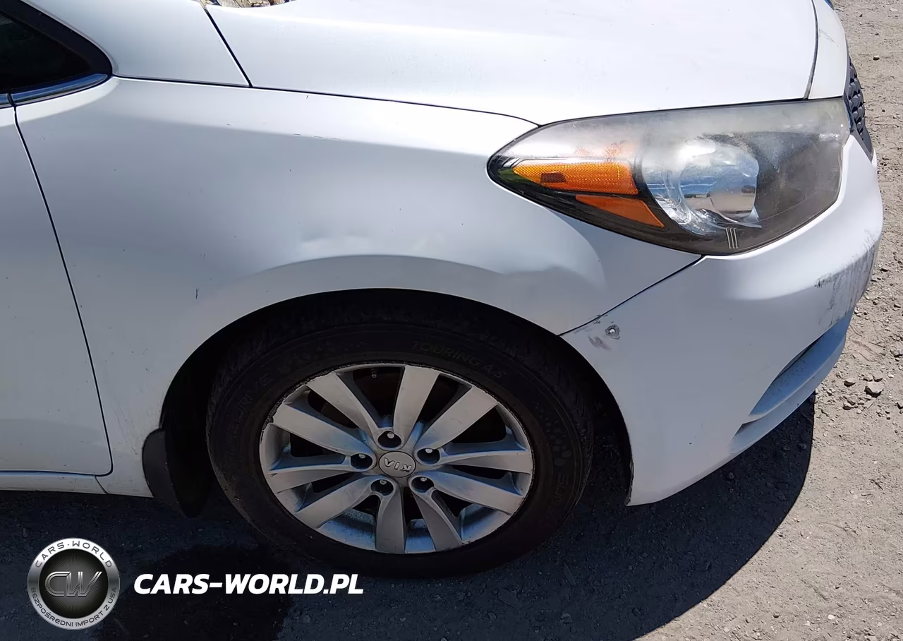2014 Kia Forte Ex VIN:KNAFX4A81E5114193 - 6