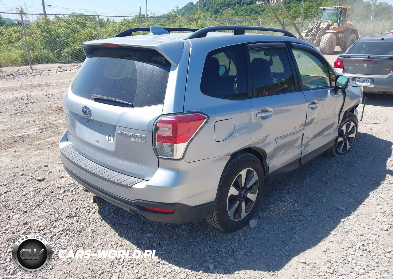 2017 Subaru Forester 2.5I Premium VIN:JF2SJAGC2HH810496 - 4