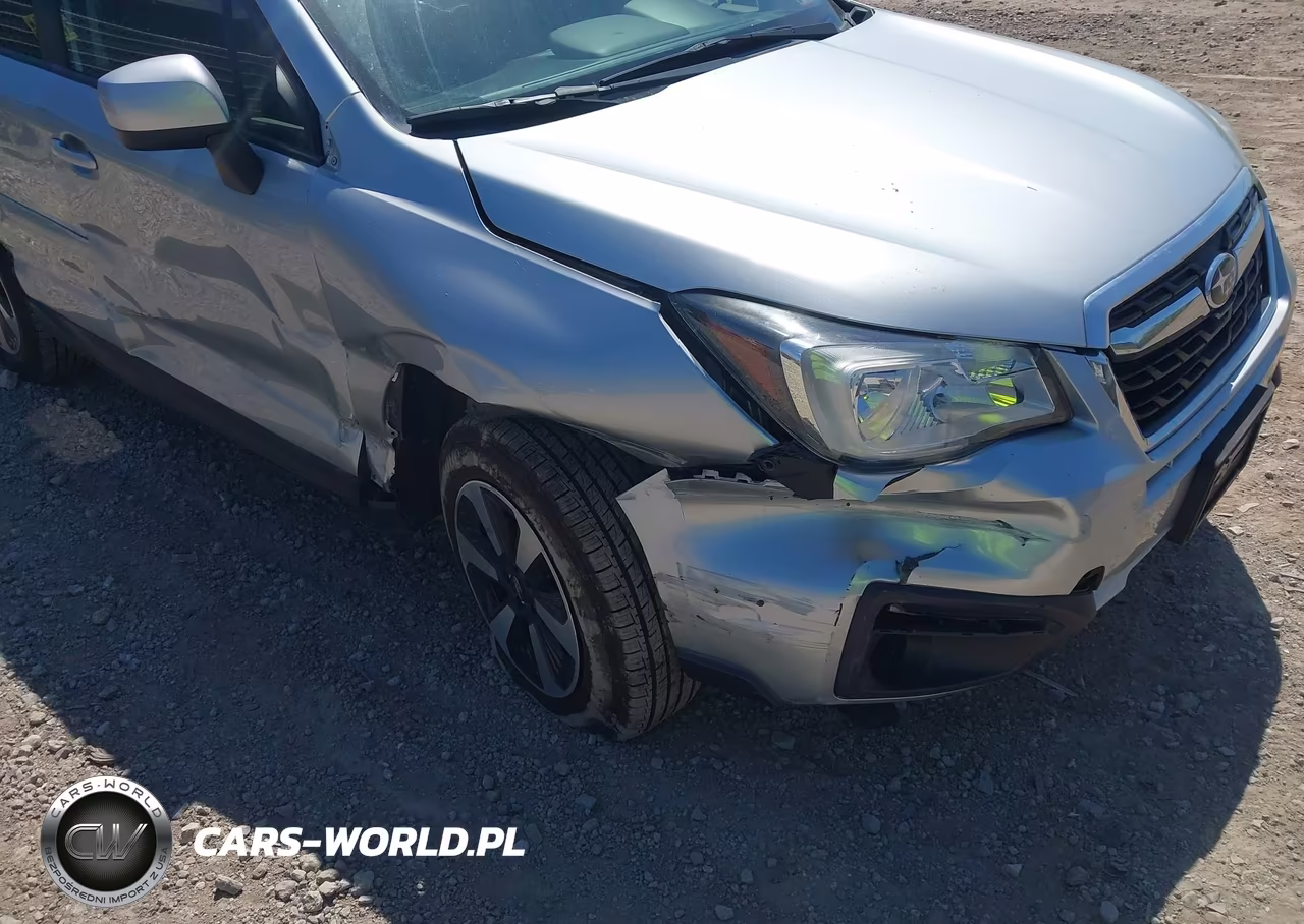 2017 Subaru Forester 2.5I Premium VIN:JF2SJAGC2HH810496 - 6