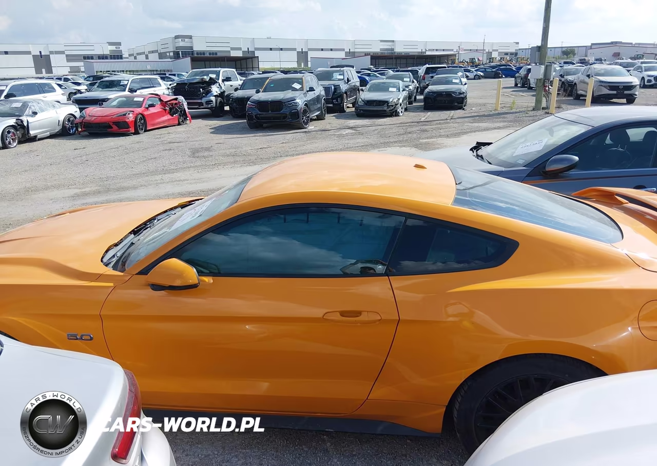 2018 Ford Mustang Gt Premium VIN:1FA6P8CFXJ5113677 - 13