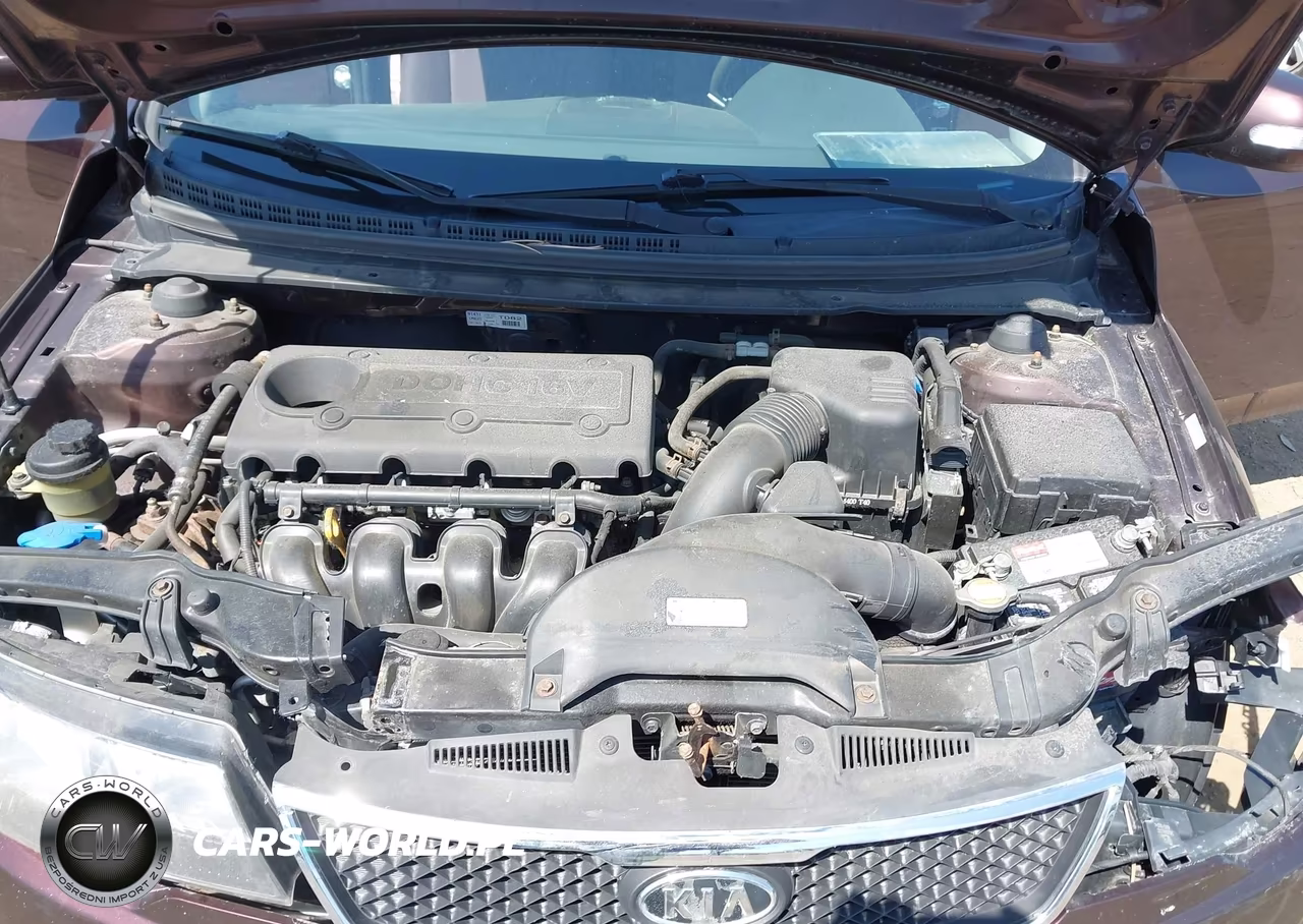 2010 Kia Forte Ex VIN:KNAFU4A21A5058495 - 10