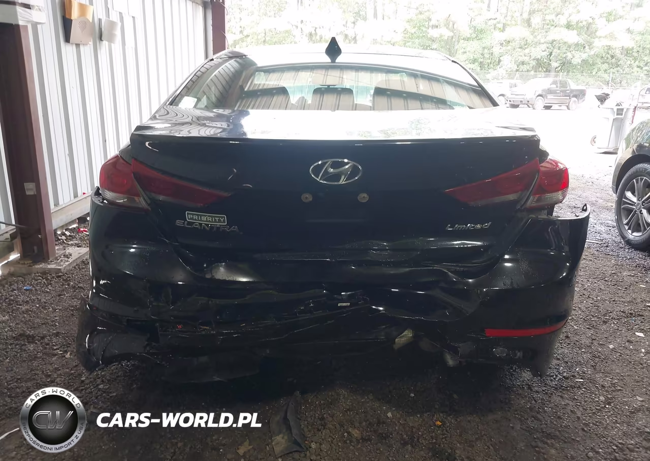 2017 Hyundai Elantra Limited VIN:KMHD84LF6HU355143 - 16