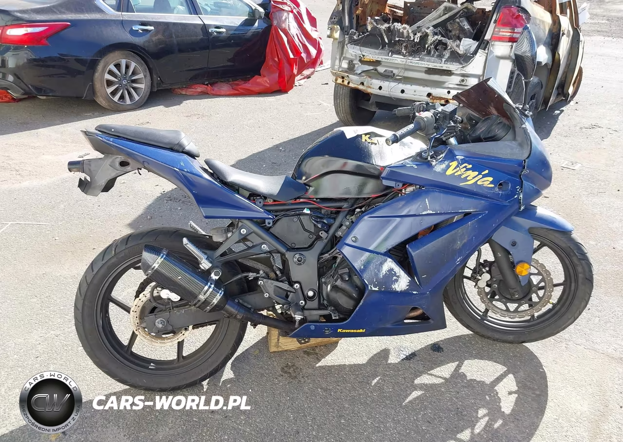 2010 Kawasaki Ex250 J VIN:JKAEXMJ19ADA62617 - 12