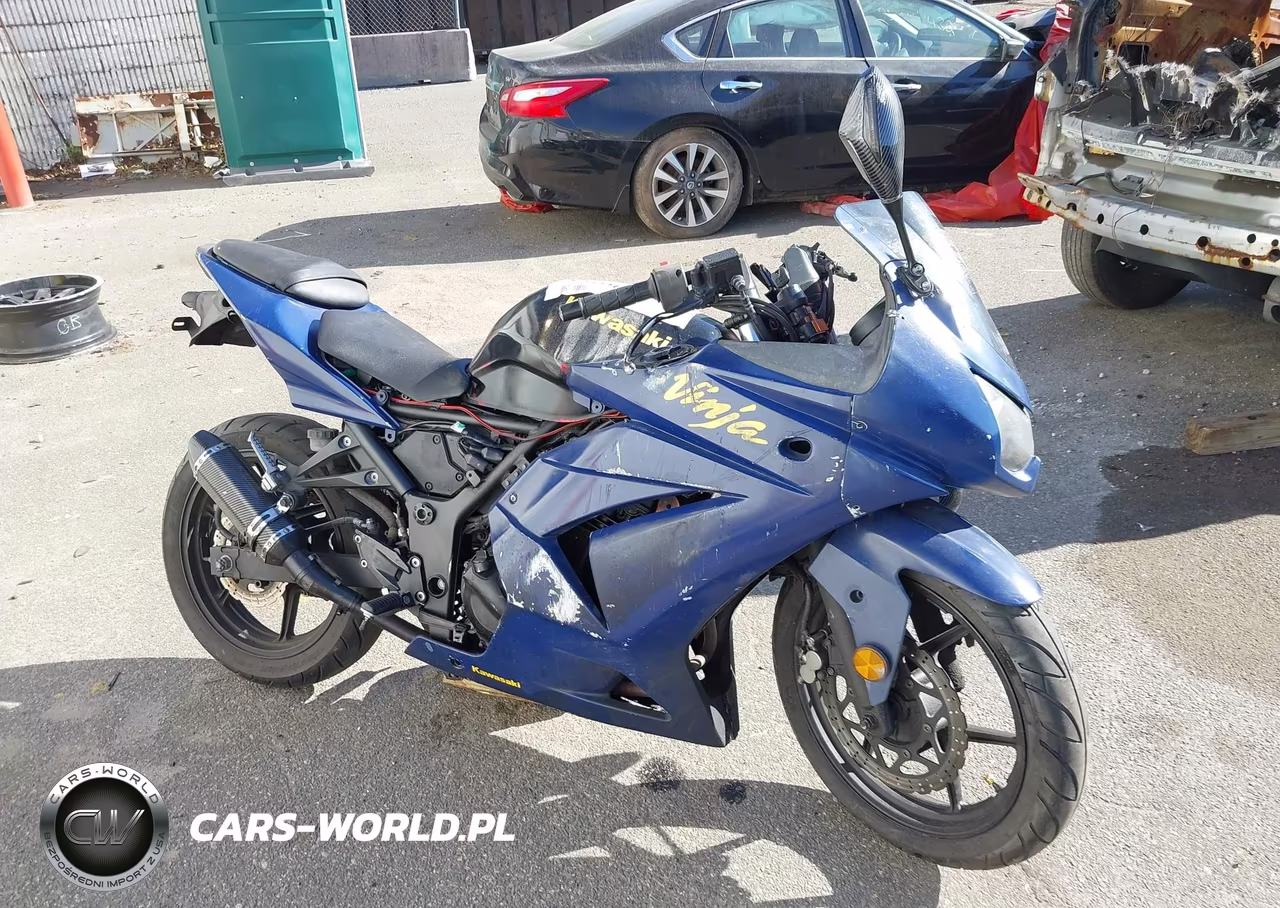 2010 Kawasaki Ex250 J VIN:JKAEXMJ19ADA62617 - 8