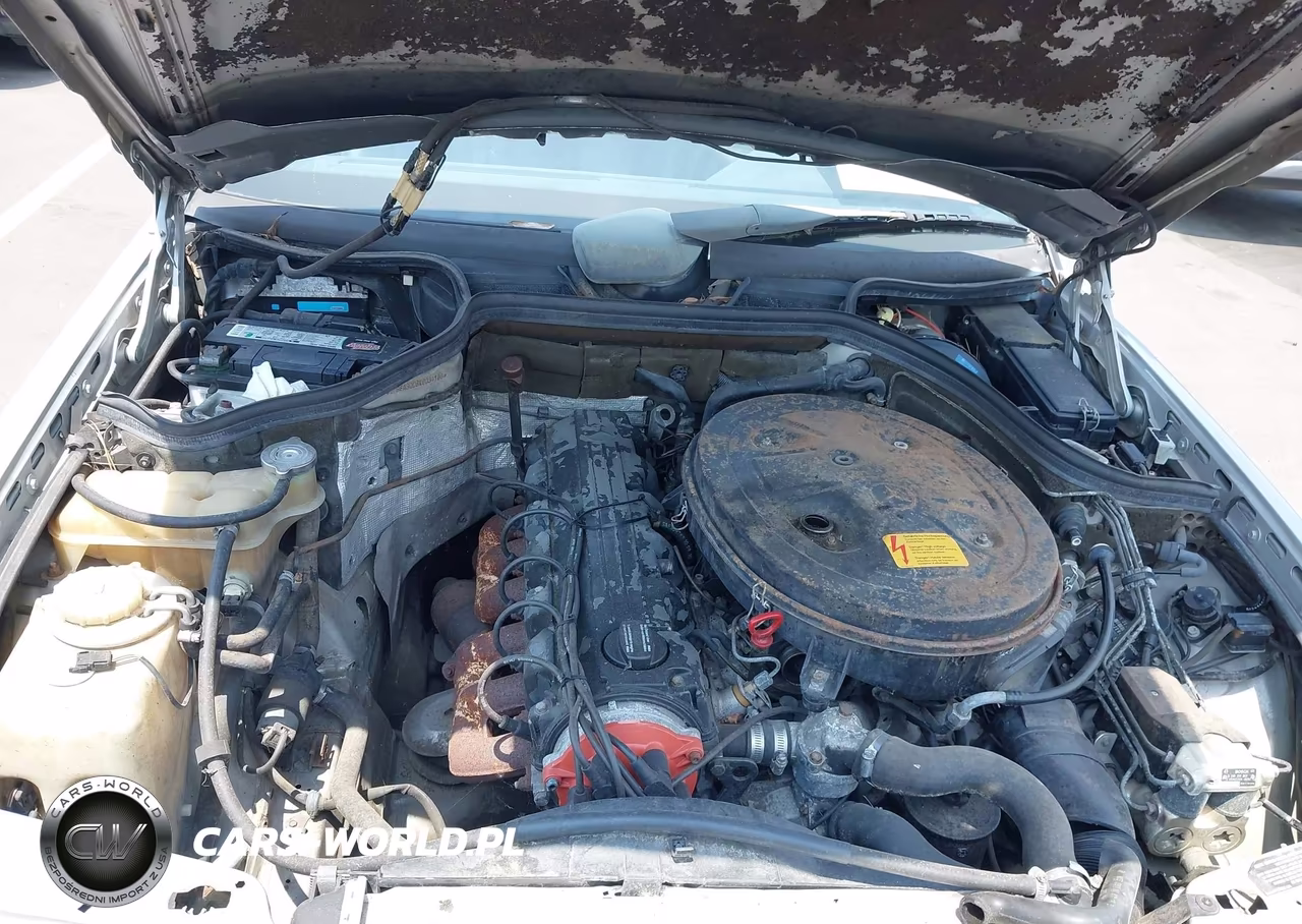 1989 Mercedes-Benz 300 E VIN:WDBEA30D8KB034166 - 10