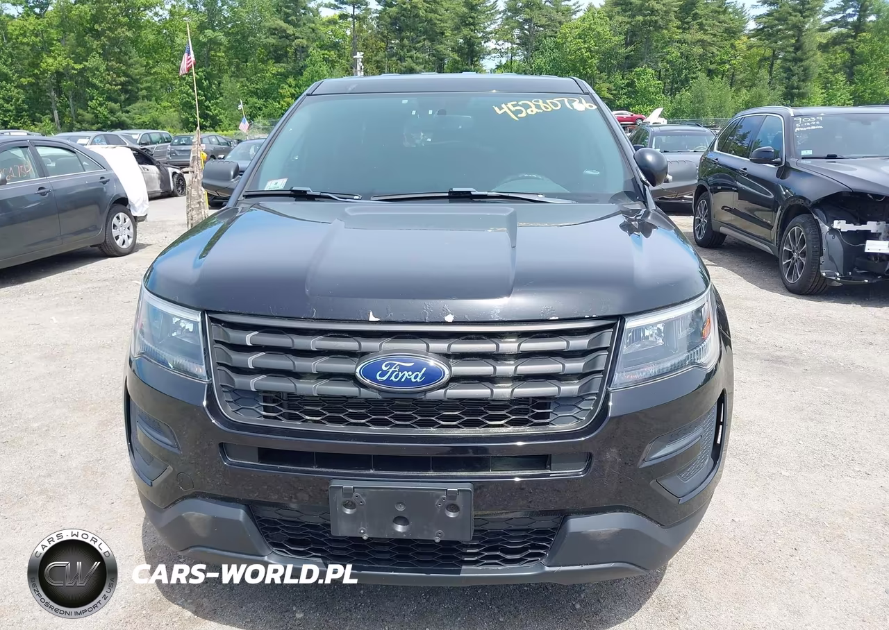 2019 Ford Police Interceptor Utility VIN:1FM5K8AR6KGA31898 - 12