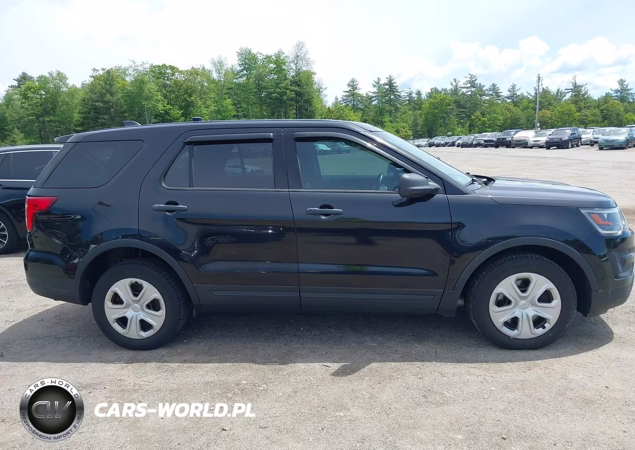 2019 Ford Police Interceptor Utility VIN:1FM5K8AR6KGA31898 - 13